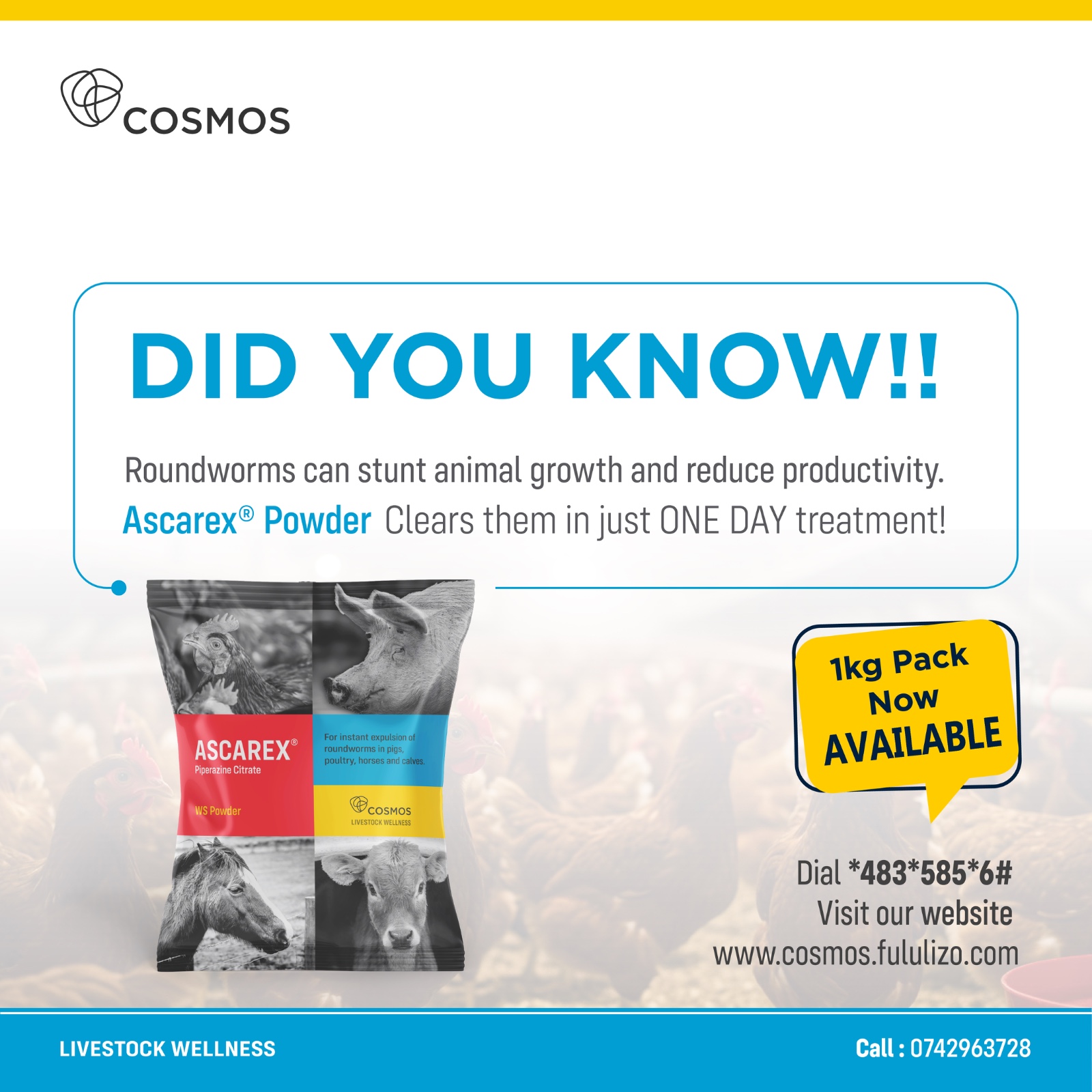 KUKOMESHA MINYOO NA ASCAREX