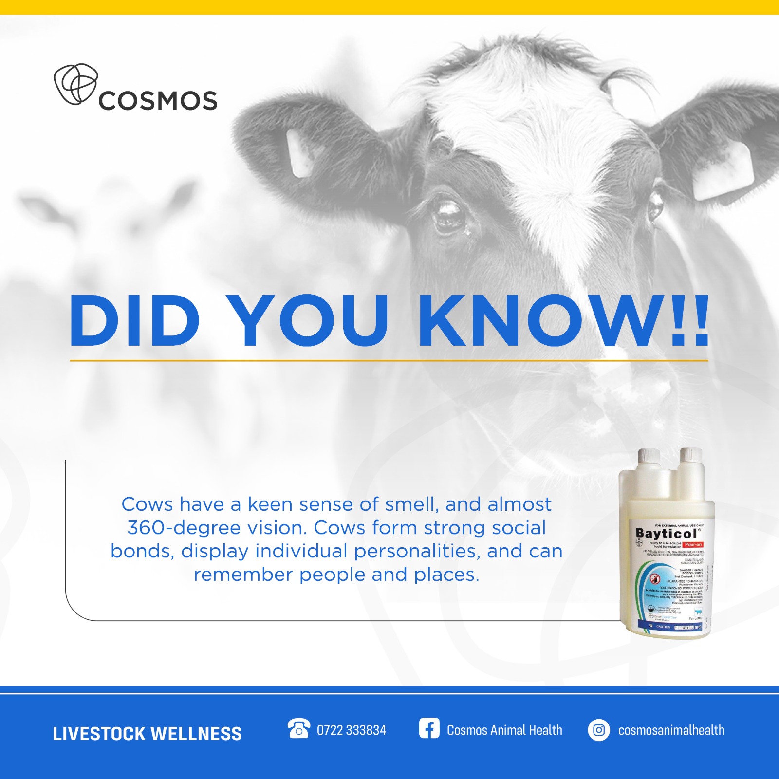 DALILI YA MINYOO KATIKA MIFUGO