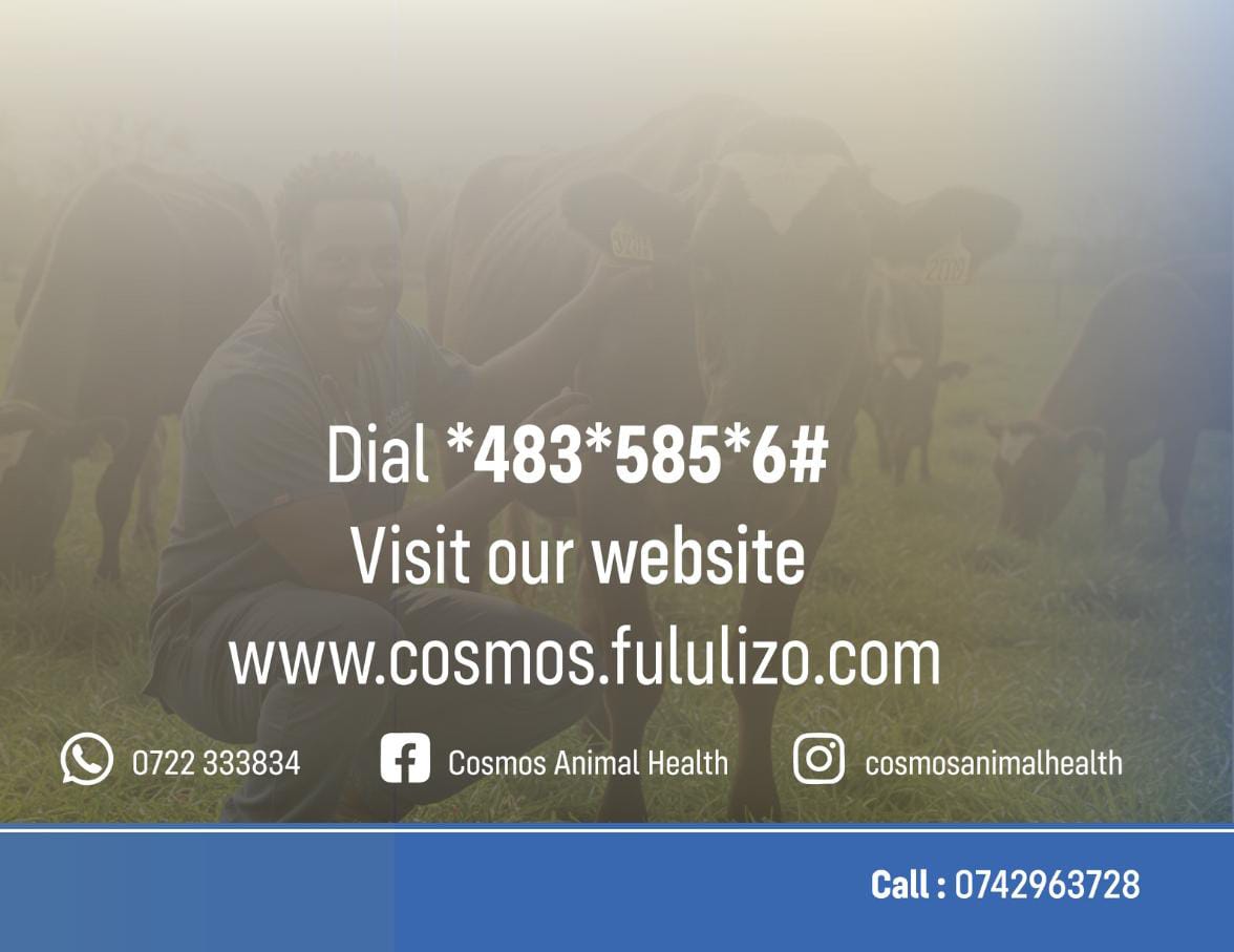 EFFECTS OF WORMS IN LACTATING COWS