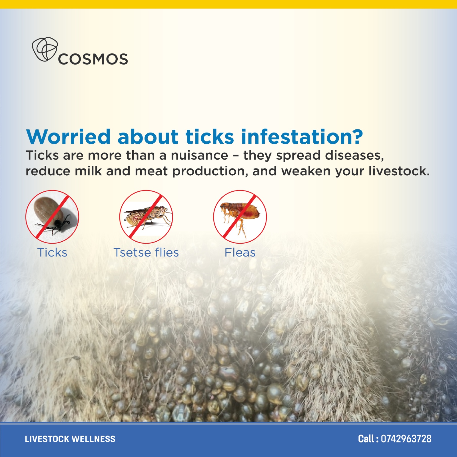 TICK CONTROL (Udhibiti wa Kupe)