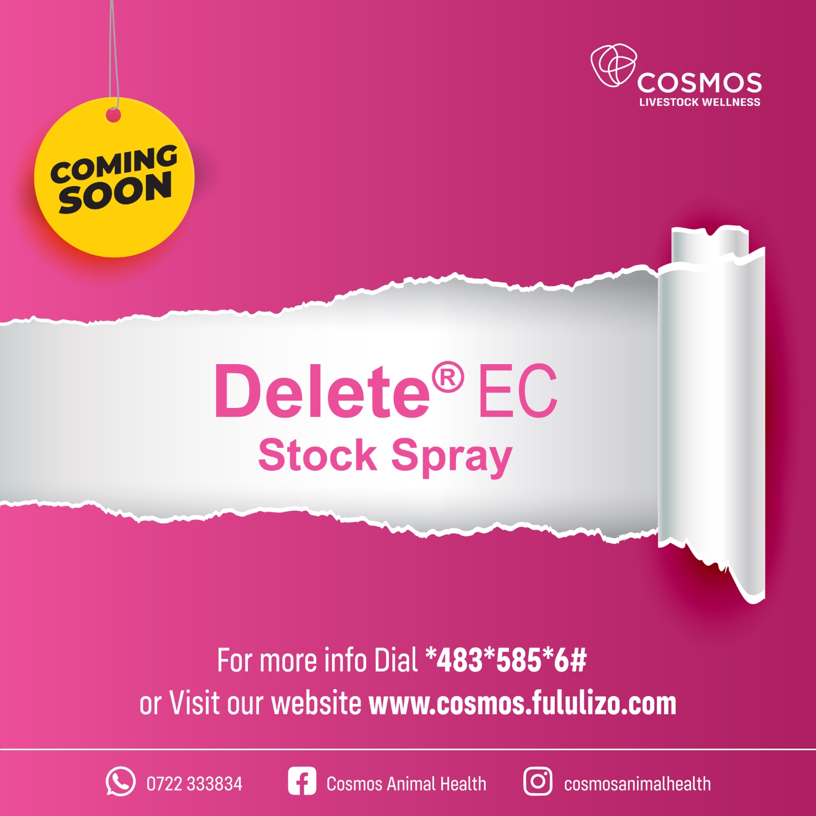LEARN MORE ON DELETE EC