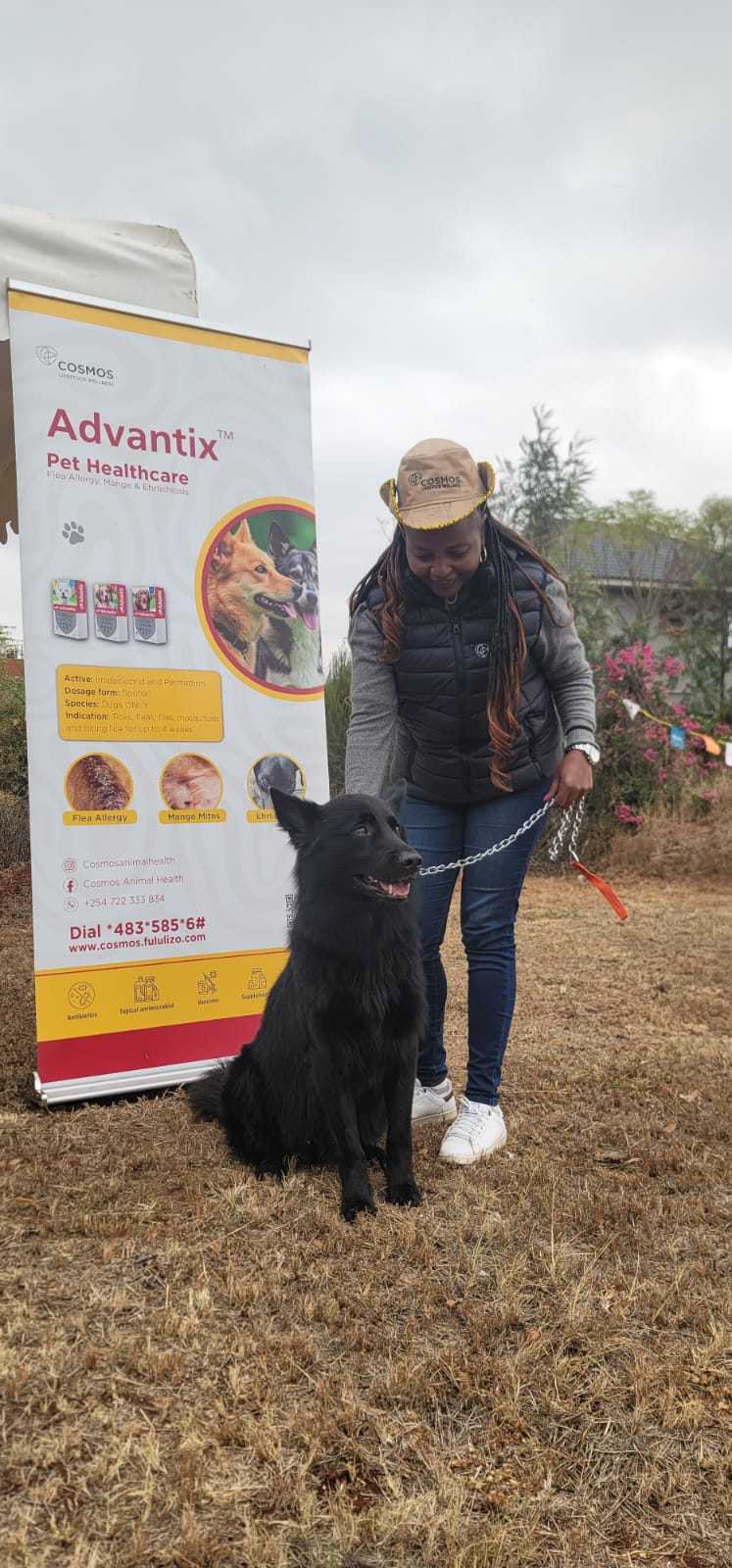 LEARN MORE ON THE ADVANTIX DRUG FOR DOGS