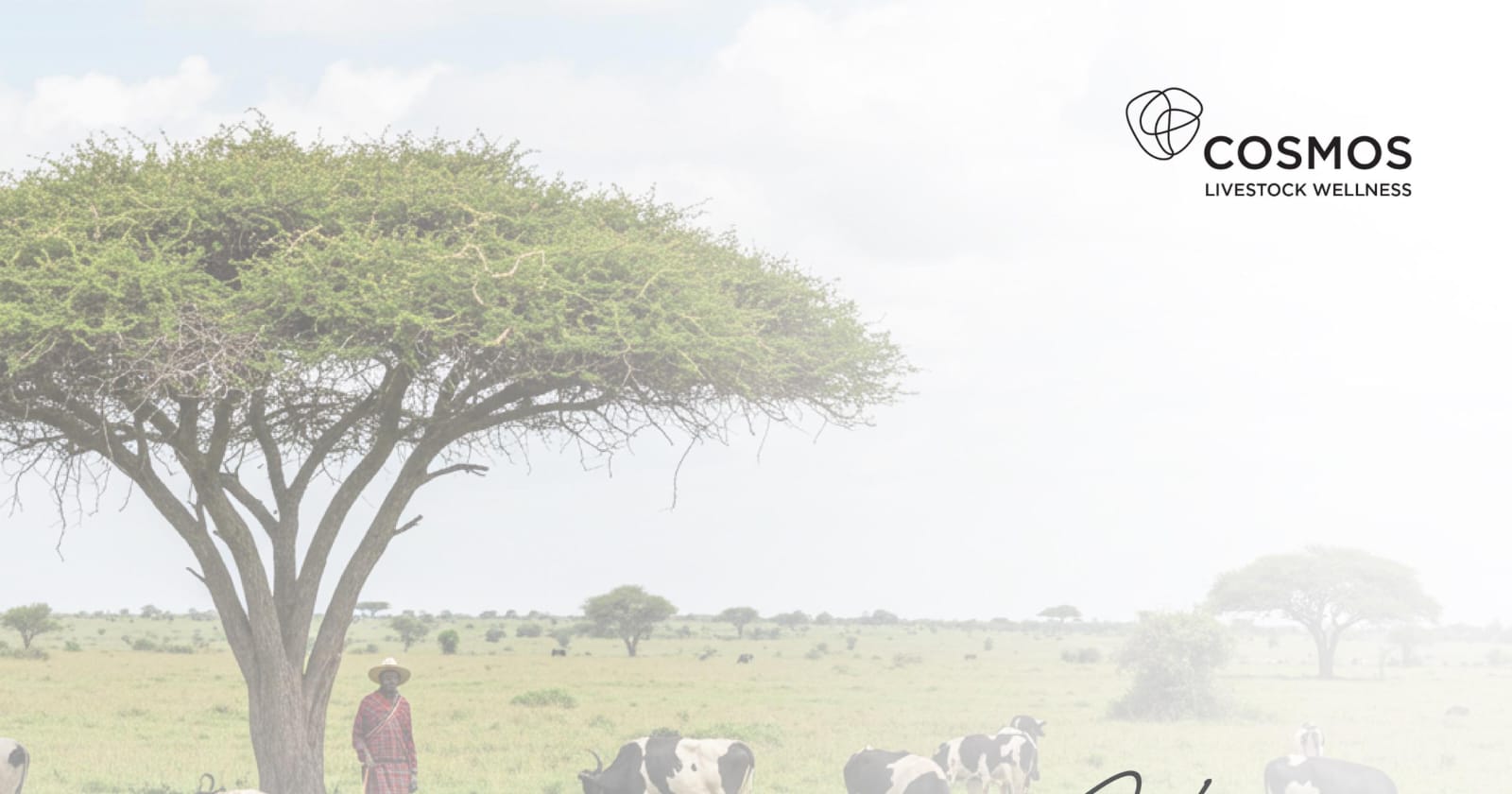 CHALLENGES OF DAIRY COWS AT CALVING