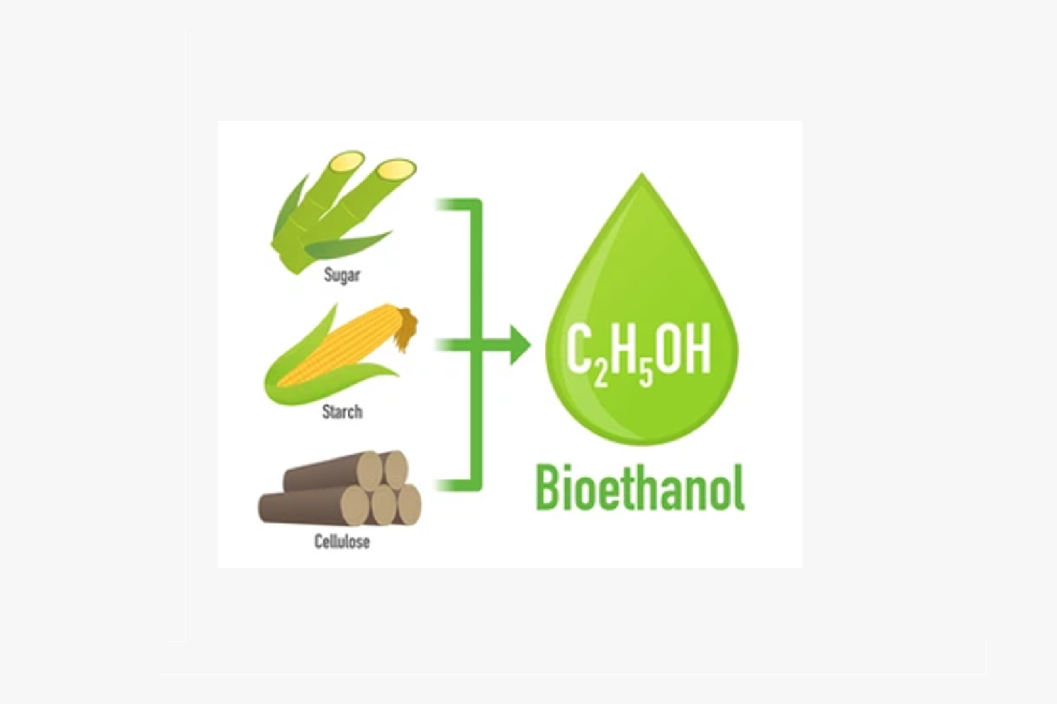 BIO ETHANOL PRODUCTION