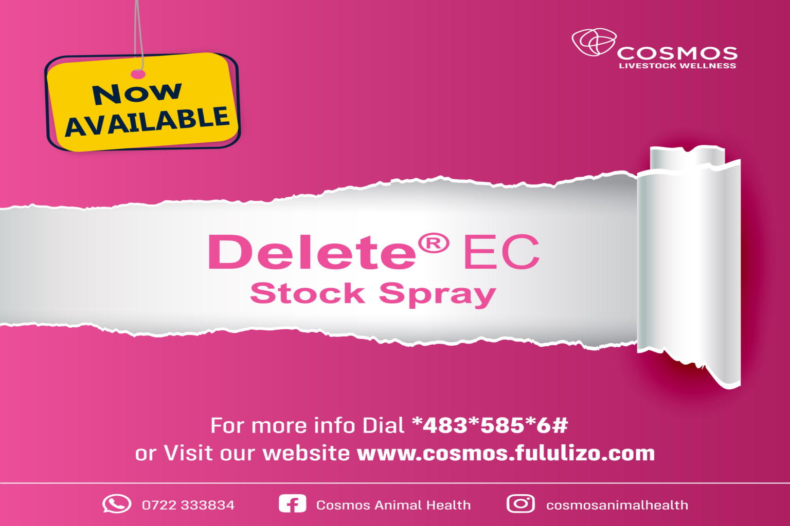 LEARN MORE ON DELETE EC