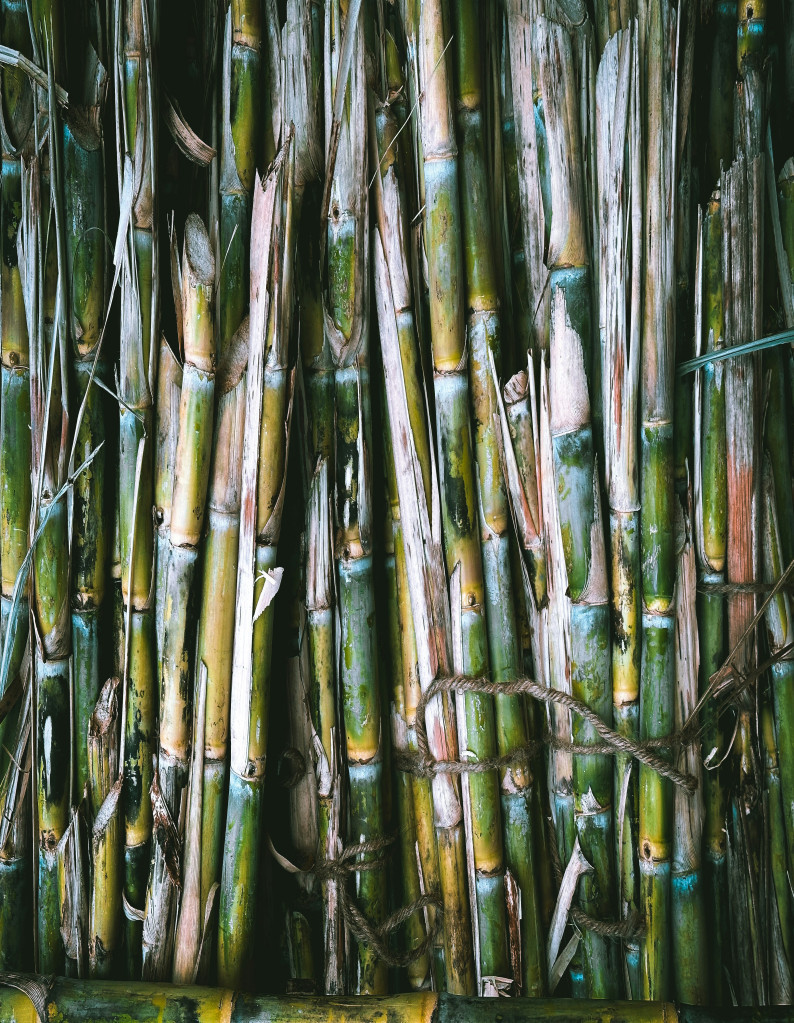 SUGARCANE VALUE CHAIN