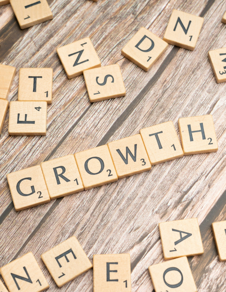 BUSINESS GROWTH