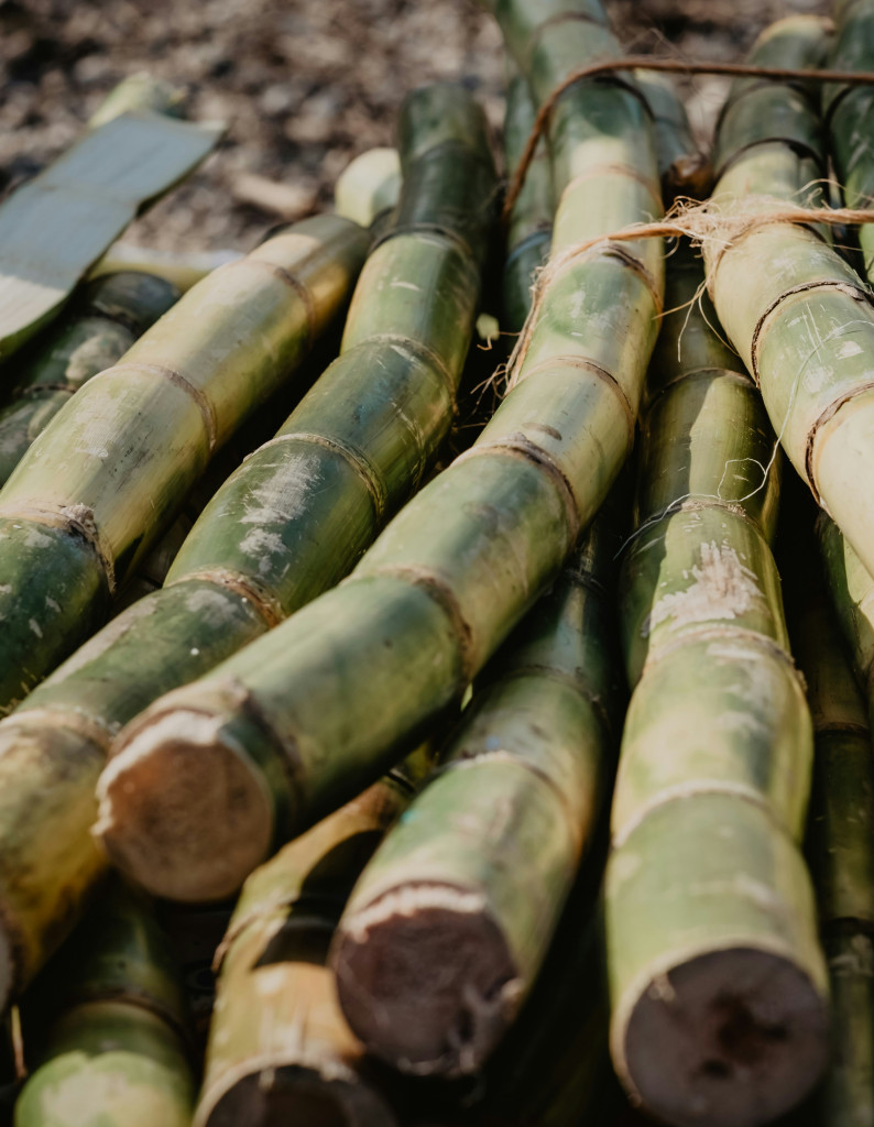 SUGARCANE VALUE CHAIN
