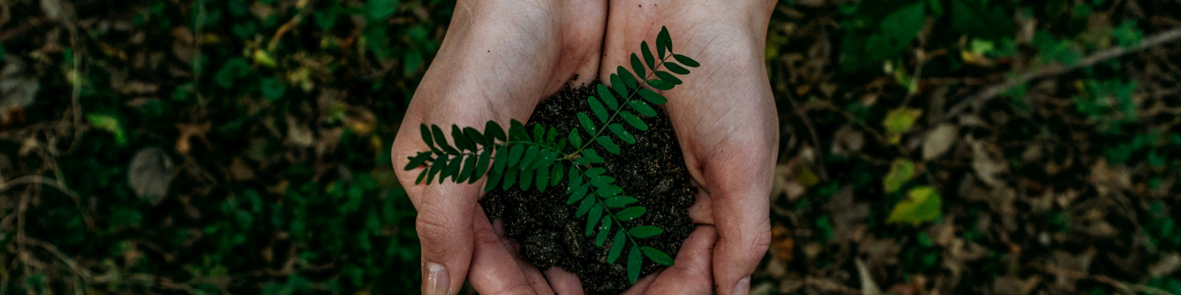 Advancing Sustainable Land Use, Environmental Protection and Climate-Resilient Energy Crop Systems in Kenya