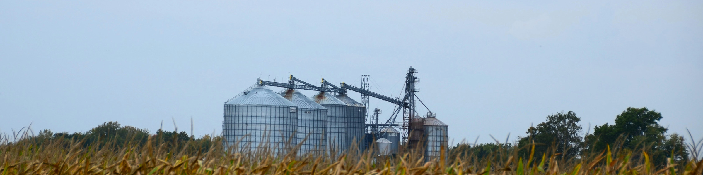 Unlocking Kenya’s Bioethanol Economy Through Energy Crops, Local Manufacturing and Clean Cooking