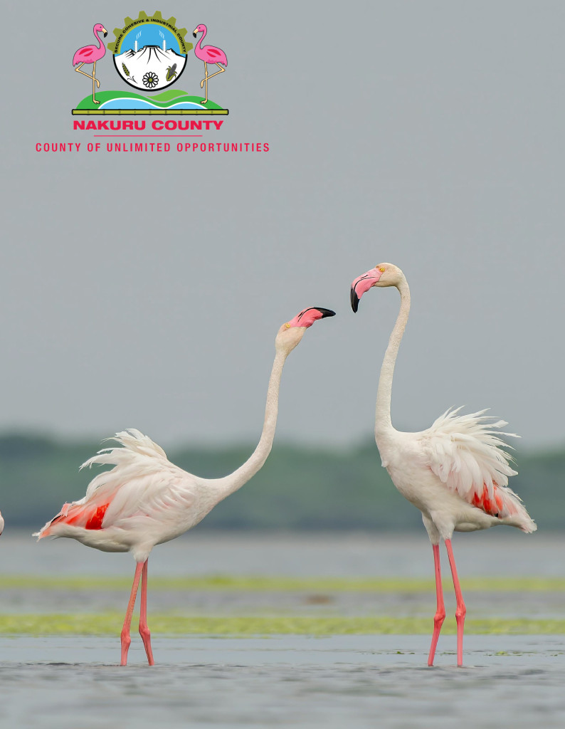 Nakuru County