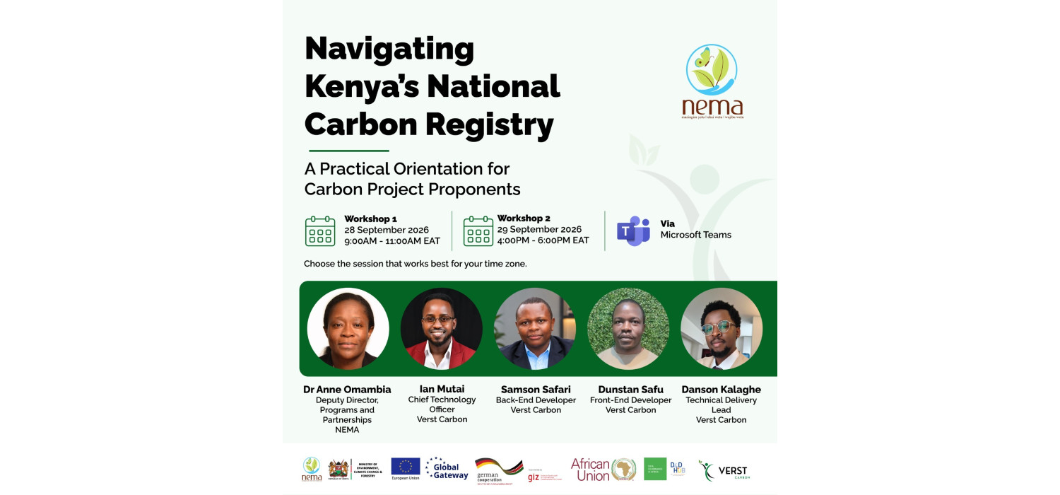 Navigating Kenya's National Carbon Registry