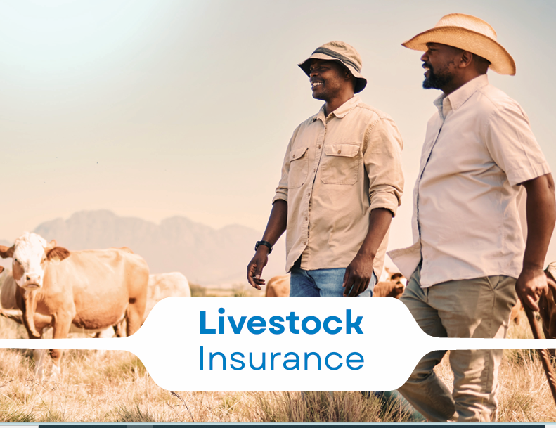 LIVESTOCK INSURANCE